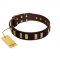 "Peace and Harmony" FDT Artisan Brown Leather Dogue de Bordeaux Collar with Plates