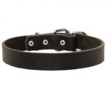 Leather Dogue de Bordeaux Collar for Walking and Training