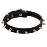 Stylish Spiked Leather Dogue de Bordeaux Collar for Walking