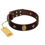 "Victory and Laurels" FDT Artisan Brown Leather Dogue de Bordeaux Collar with Ovals and Stars