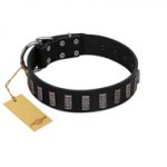 "Black Prince" Handmade FDT Artisan Black Leather Dogue de Bordeaux Collar with Silver-Like Adornments