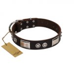 "Baller Status" FDT Artisan Brown Leather Dogue de Bordeaux Collar Adorned with a Set of Chrome Plated Studs and Plates