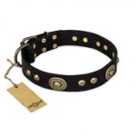"High Fashion" FDT Artisan Studded with Plates Black Leather Dogue de Bordeaux Collar