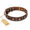 "High Fashion" FDT Artisan Embellished Brown Leather Dogue de Bordeaux Collar