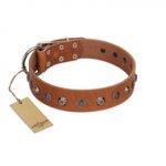 "Silver Age" Fashionable FDT Artisan Tan Leather Dogue de Bordeaux Collar with Silver-Like Studs