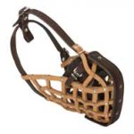 Leather Basket-Like Dogue de Bordeaux Muzzle for Attack Training