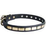 Elegant Leather Dogue de Bordeaux Collar with Brass Plates