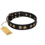 "Golden Artifact" FDT Artisan Black Leather Dogue de Bordeaux Collar with Old-bronze Covered Medallions