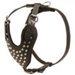 Adjustable Leather Dogue de Bordeaux Harness Studded for Fashion Walking