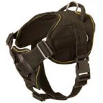 Nylon Dogue de Bordeaux Harness for Pulling Tracking Training