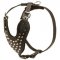 Adjustable Leather Dogue de Bordeaux Harness Studded for Fashion Walking