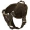 Nylon Dogue de Bordeaux Harness for Pulling Tracking Training