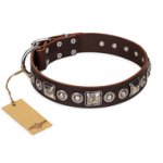 "Pierian spring" FDT Artisan Brown Leather Dogue de Bordeaux Collar with Silvery Decorations