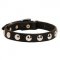 Beautiful Leather Dogue de Bordeaux Collar Decorated with Half-Ball Studs