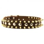 Spiked and Studded Dogue de Bordeaux Leather Collar