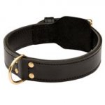 Training 2 Ply Leather Dogue de Bordeaux Collar