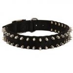 Dogue de Bordeaux Nylon Collar Spiked