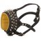 Royal Spiked and Studded Leather Dogue de Bordeaux Muzzle