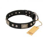 "Pirates Gold" FDT Artisan Black Leather Dogue de Bordeaux Collar with Old Silver Look Plates and Skulls