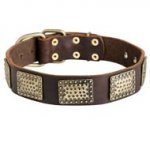 Leather Dogue de Bordeaux Collar with Vintage Massive Brass Plates