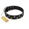 "Egyptian Style" Handcrafted FDT Artisan Black Leather Dogue de Bordeaux Collar with Medallions