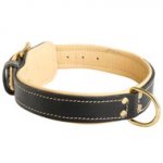 Royal Design Padded Leather Dogue de Bordeaux Collar