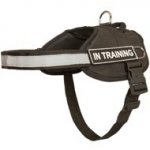 Nylon Dogue de Bordeaux Harness with Reflective Strap for Training, Walking, Police Service, SAR and More