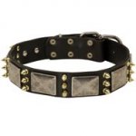 Dogue de Bordeaux Spiked Leather Collar with Nickel Plates