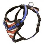 American Flag Painted Leather Dogue de Bordeaux Harness for Agitation Training