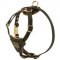 Stylish Leather Dogue de Bordeaux Harness for Puppies
