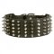 Dogue de Bordeaux Leather Collar Spiked and Studded