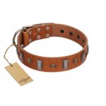 "Golden Crossbones" Handmade FDT Artisan Tan Leather Dogue de Bordeaux Collar with Plates and Skulls