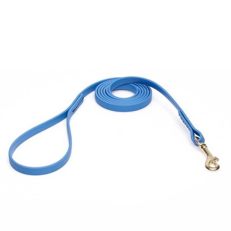 Amazing Blue Biothane Dogue de Bordeaux Leash for Walking, Tracking