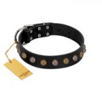 "Inky Prettification" FDT Artisan Black Leather Dogue de Bordeaux Collar with One Row of Studs