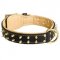 Royal Leather Dogue de Bordeaux Collar Spiked Padded with Nappa Leather