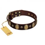 "Bronze Idol" FDT Artisan Brown Leather Dogue de Bordeaux Collar with Eye-catching Ovals and Small Studs