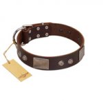 "Stone Stars" Stylish Handmade FDT Artisan Brown Leather Dogue de Bordeaux Collar