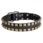 Leather Dogue de Bordeaux Collar with Brass Caterpillar Studs