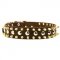 Spiked and Studded Dogue de Bordeaux Leather Collar