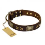 "Sparkling Bronze" FDT Artisan Genuine Leather Dogue de Bordeaux Collar with Bronze Look Stars and Plates