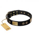 "Chicci-Glam" FDT Artisan Black Leather Dogue de Bordeaux Collar with Plates and Ornate Studs