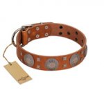 "Sun Rise Noon" FDT Artisan Tan Leather Dogue de Bordeaux Collar with Unique Design