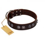 "King Arthur" FDT Artisan Brown Leather Dogue de Bordeaux Collar with Spiky Plates
