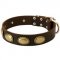 Designer Leather Dogue de Bordeaux Collar with Oval Plates