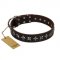 "Stars of Glory" FDT Artisan Brown Leather Dogue de Bordeaux Collar for Comfortable Walking