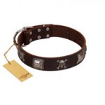 "Nut-Brown Finery" Embellished FDT Artisan Brown Leather Dogue de Bordeaux Collar with Chrome Plated Crossbones and Plates