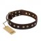 "Bronze Sheen" FDT Artisan Leather Dogue de Bordeaux Collar with Brass-Plated Studs
