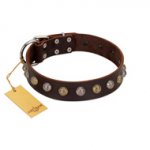 "Gape Buster" FDT Artisan Brown Leather Dogue de Bordeaux Collar with One Row of Studs