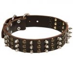 Walking Leather Dogue de Bordeaux Collar Decorated with Spikes and Studs
