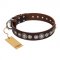 "Step and Sparkle" FDT Artisan Glamorous Studded Brown Leather Dogue de Bordeaux Collar